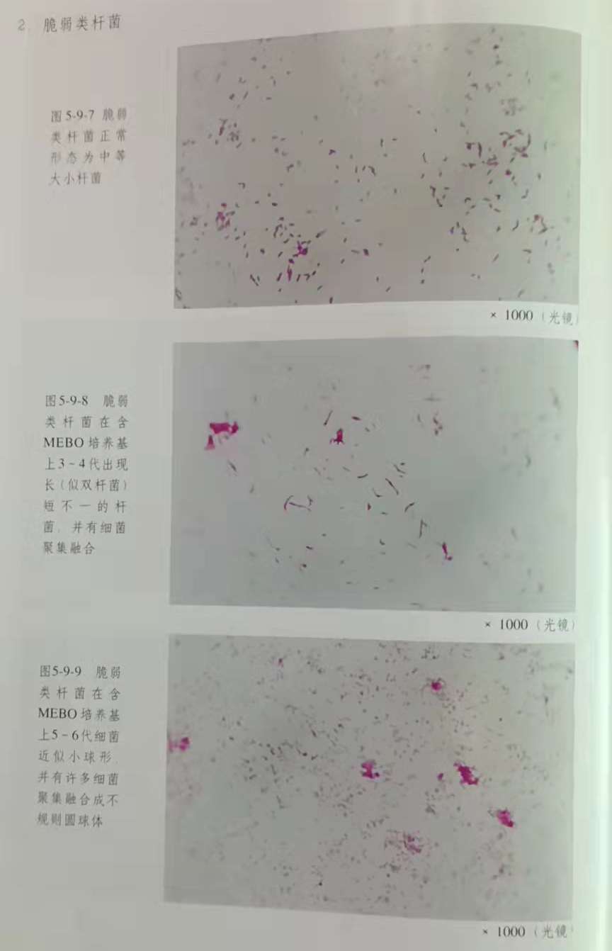 澳门挂牌匾之全篇123