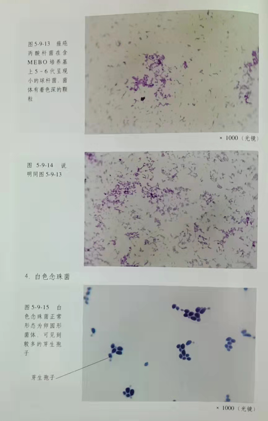 澳门挂牌匾之全篇123