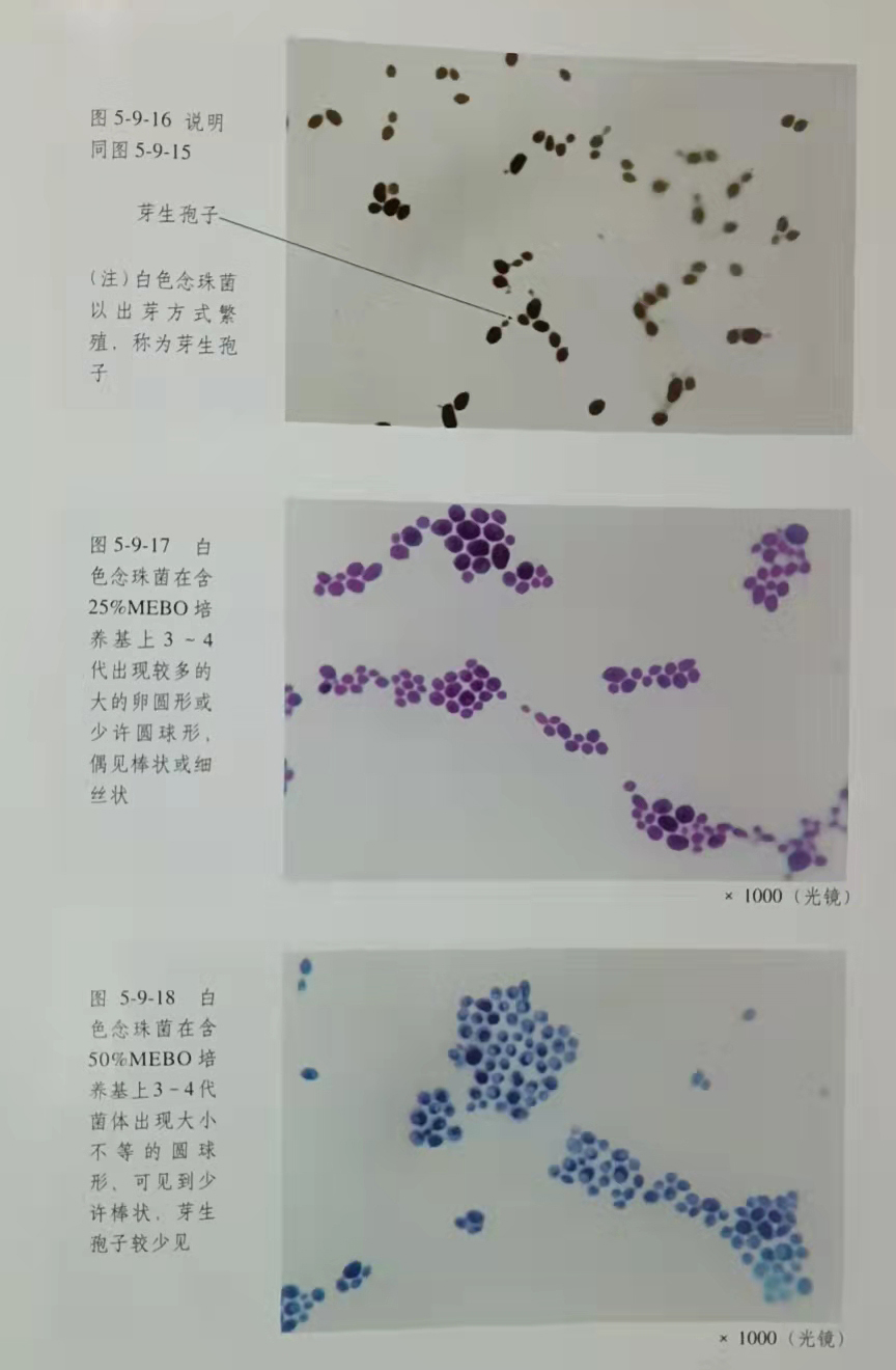 澳门挂牌匾之全篇123