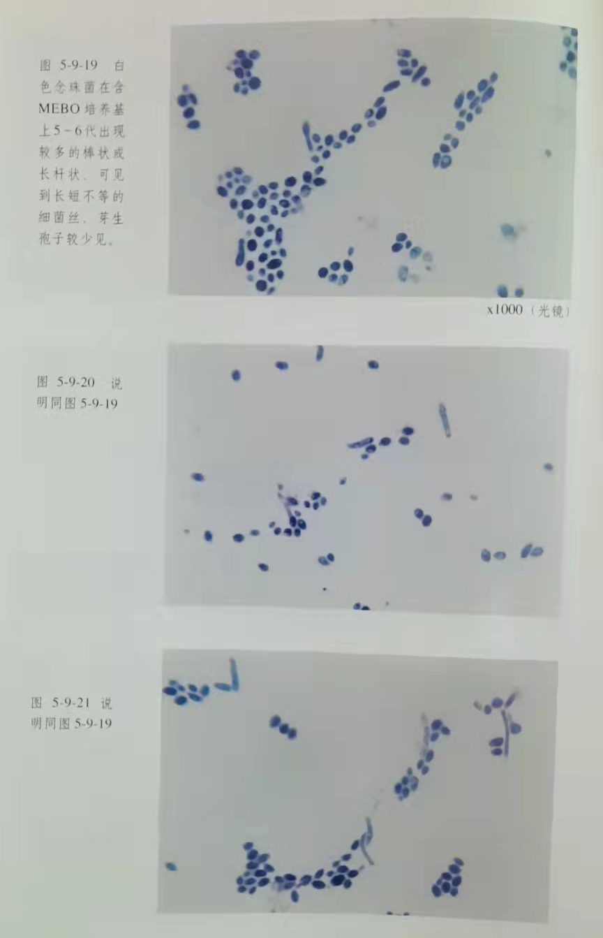 澳门挂牌匾之全篇123