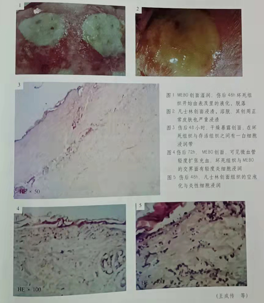 澳门挂牌匾之全篇123