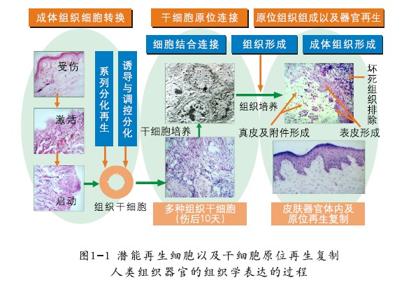 澳门挂牌匾之全篇123