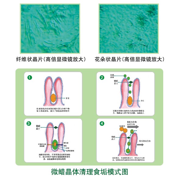 澳门挂牌匾之全篇123