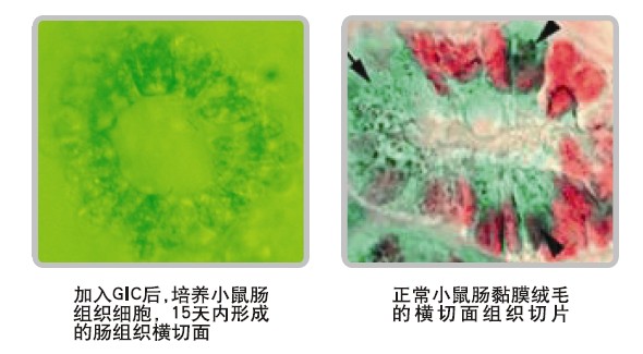 澳门挂牌匾之全篇123