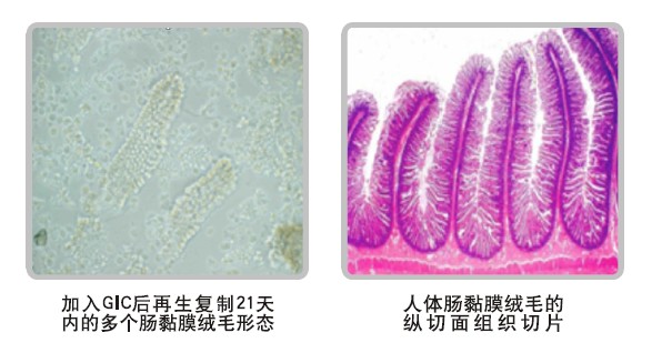 澳门挂牌匾之全篇123