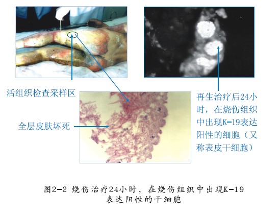 澳门挂牌匾之全篇123