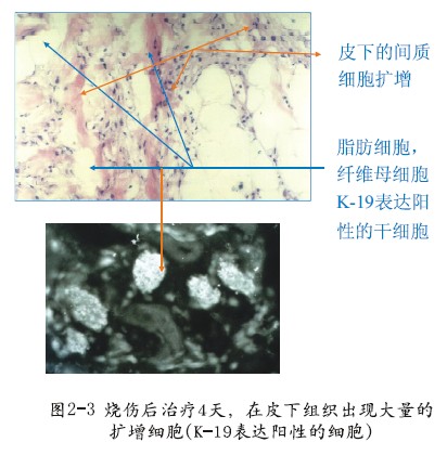 澳门挂牌匾之全篇123