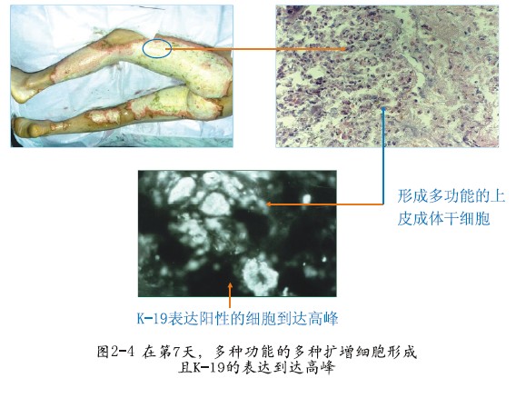 澳门挂牌匾之全篇123