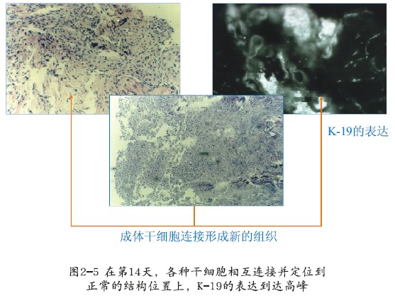 澳门挂牌匾之全篇123