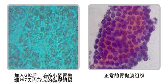 澳门挂牌匾之全篇123