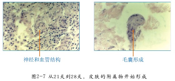 澳门挂牌匾之全篇123