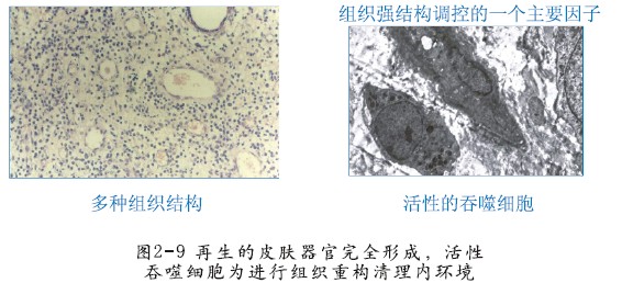 澳门挂牌匾之全篇123