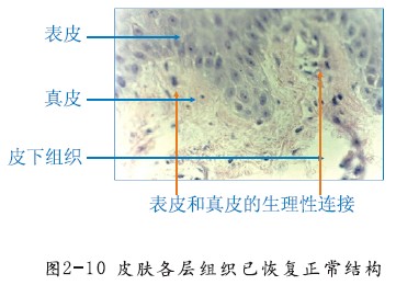 澳门挂牌匾之全篇123