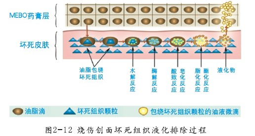 澳门挂牌匾之全篇123