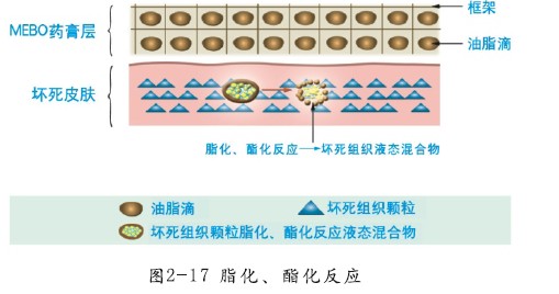 澳门挂牌匾之全篇123