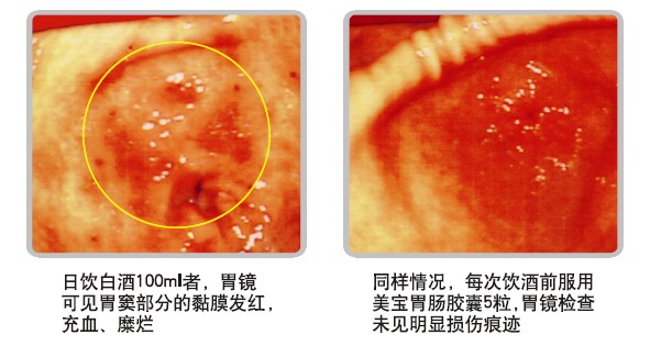 澳门挂牌匾之全篇123