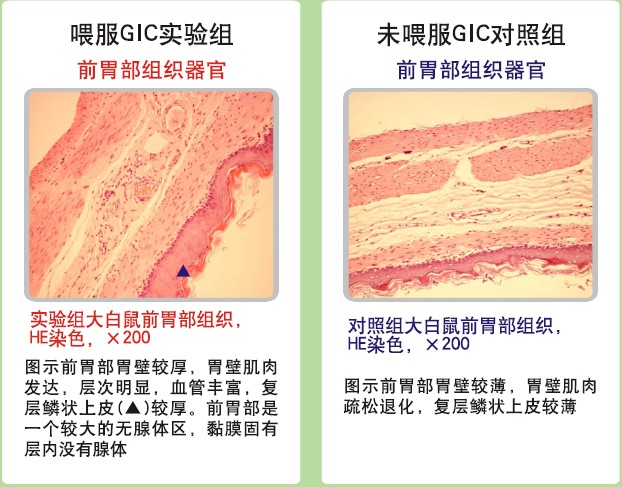 澳门挂牌匾之全篇123