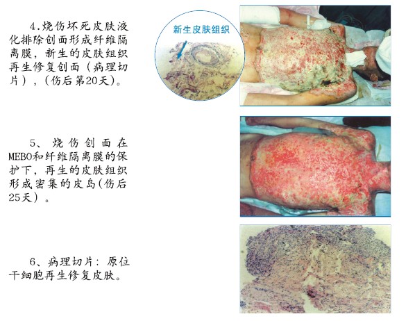 澳门挂牌匾之全篇123